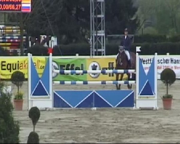 Reitturnier Werne-Lenklar 2012