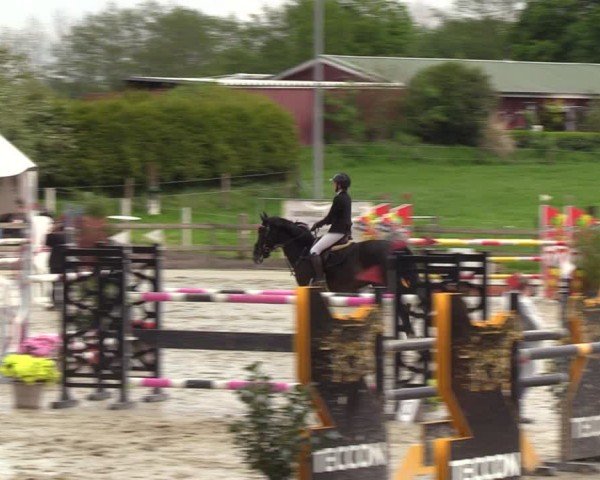 Reitturnier Looperholzer Turniertage 2024