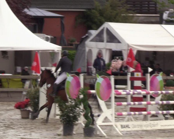 Reitturnier Looperholzer Turniertage 2024