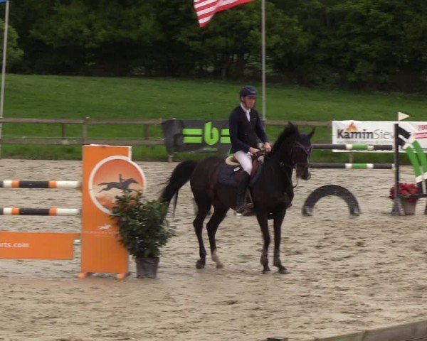 Reitturnier Looperholzer Turniertage 2024