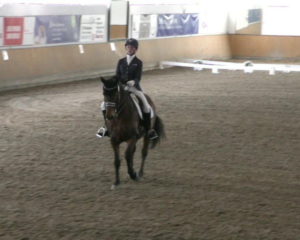 Reitturnier Hildesheim-Steuerwald 2024