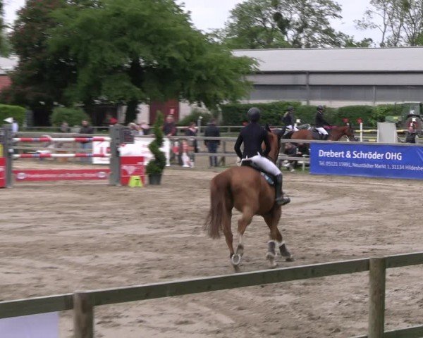 Reitturnier Hildesheim-Steuerwald 2024
