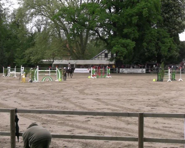Reitturnier Hildesheim-Steuerwald 2024