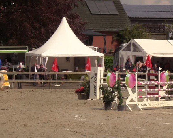 Reitturnier Looperholzer Turniertage 2024