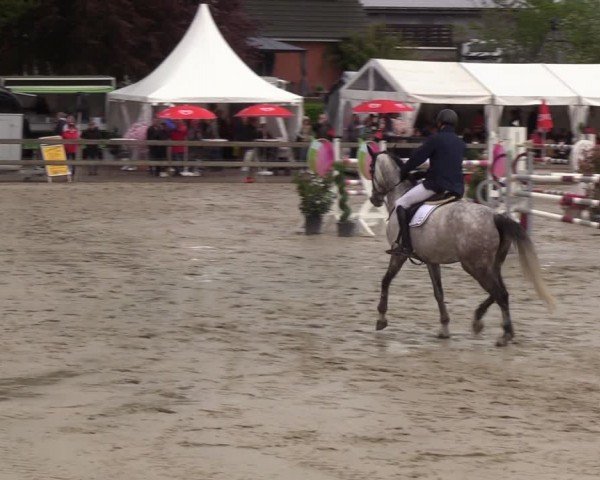 Reitturnier Looperholzer Turniertage 2024