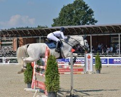 jumper Condee vom Wilhelmshof (German Sport Horse, 2009, from Clinton I)
