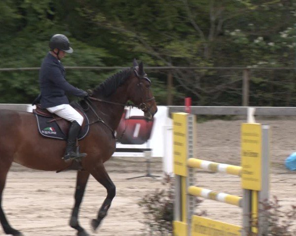 Reitturnier Wuppertal-Gelpe 2024
