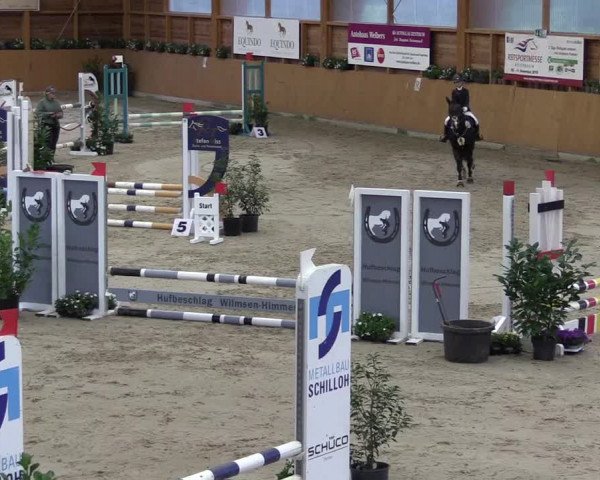 Ponyturnier Xanten - Reitanlage Miss 2021
