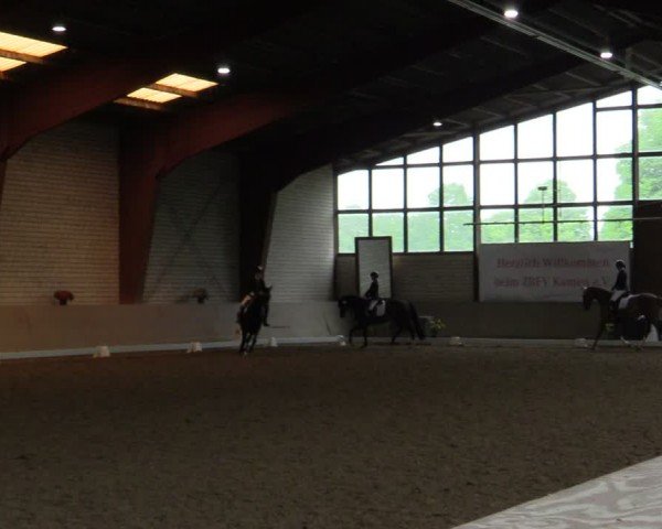 Reitturnier Kamen 2024