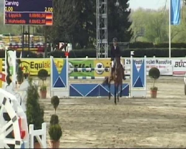 Werne-Lenklarer Reitertage vom 13.-15.+17.-22.04.2012 auf der Reitsportanlage Gripshöver