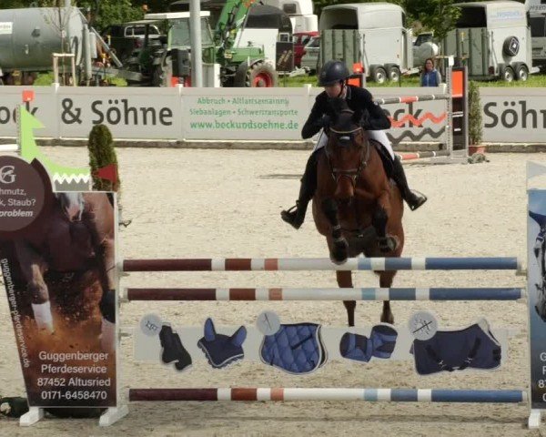 Reitturnier Babenhausen/Schw. 2024