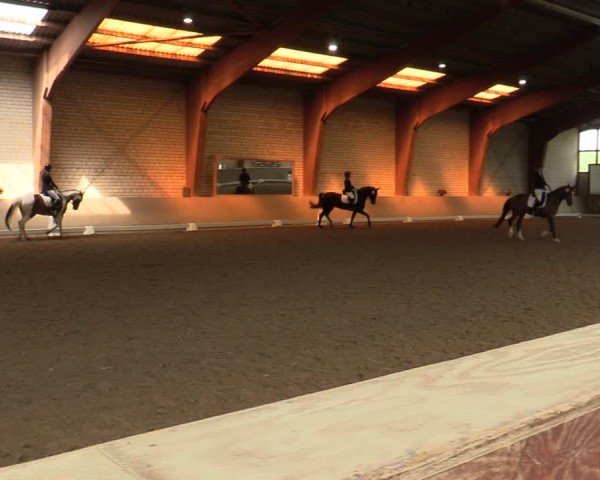 Reitturnier Kamen 2024