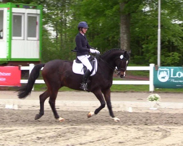 Reitturnier Dressurturnier Mildstedt 2024