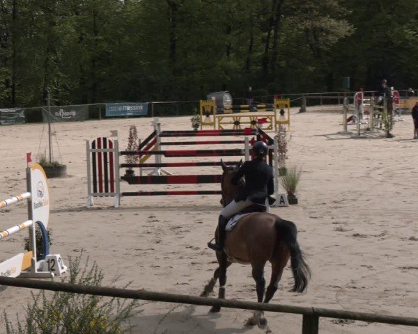 Reitturnier Wuppertal-Gelpe 2024