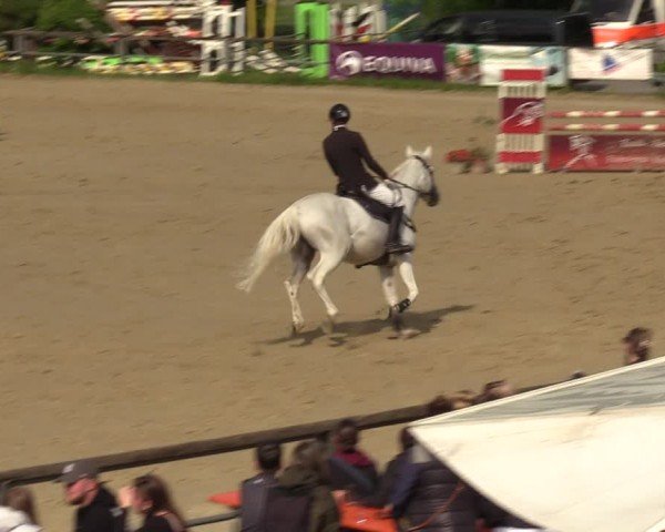 Reitturnier Kamen 2024