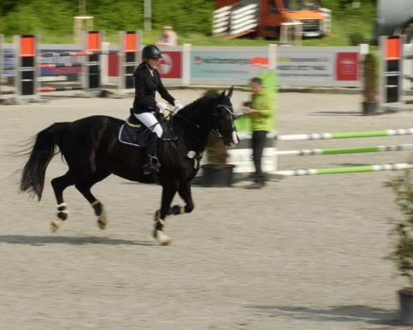 Reitturnier Babenhausen/Schw. 2024