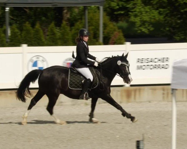 Reitturnier Babenhausen/Schw. 2024