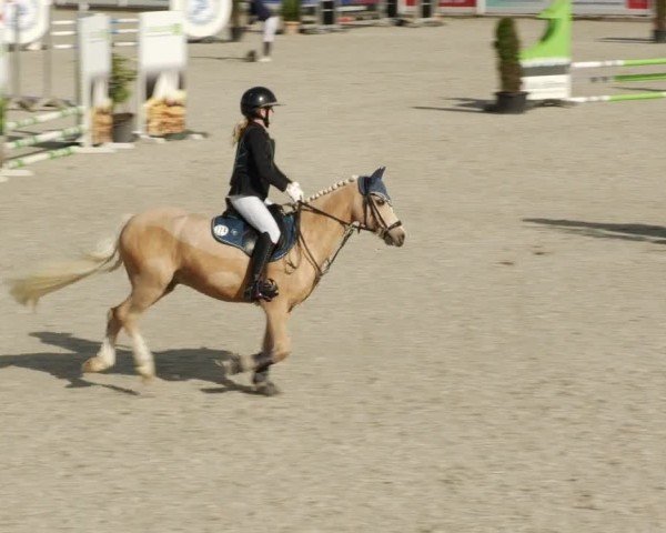 Reitturnier Babenhausen/Schw. 2024