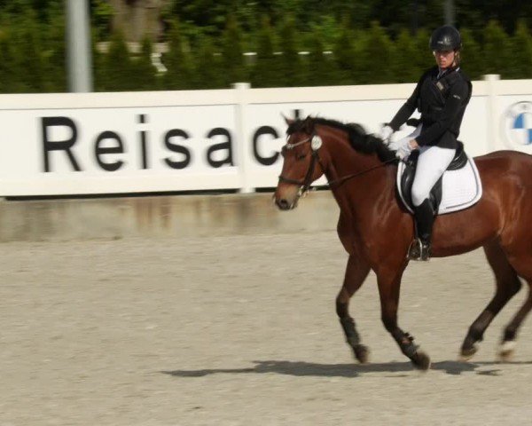 Reitturnier Babenhausen/Schw. 2024