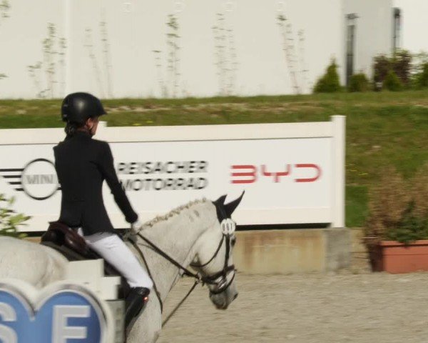 Reitturnier Babenhausen/Schw. 2024