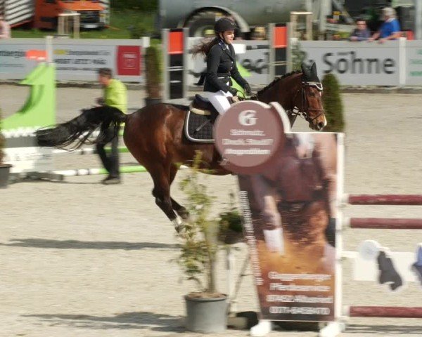Reitturnier Babenhausen/Schw. 2024