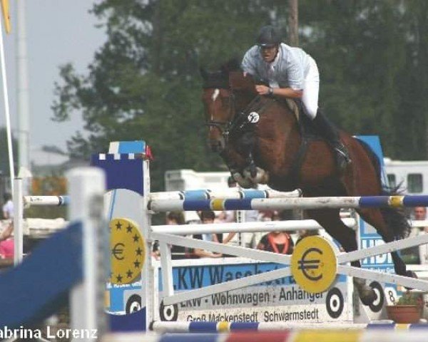jumper Caspero (Hanoverian, 2003, from Contendro I)