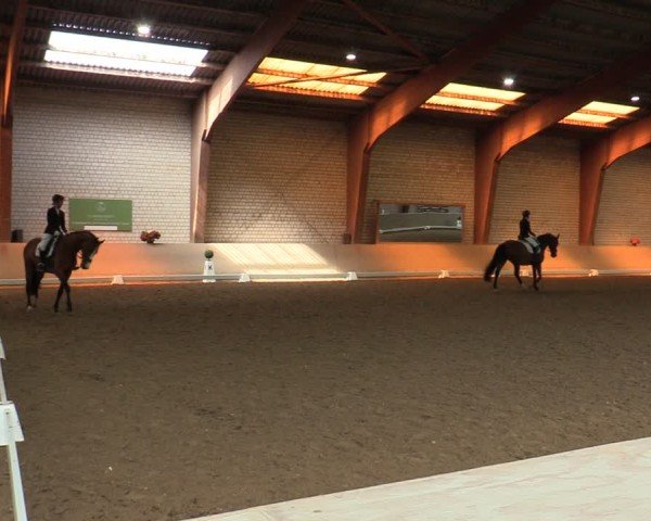 Reitturnier Kamen 2024