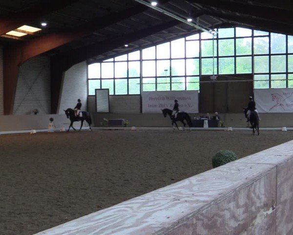 Reitturnier Kamen 2024