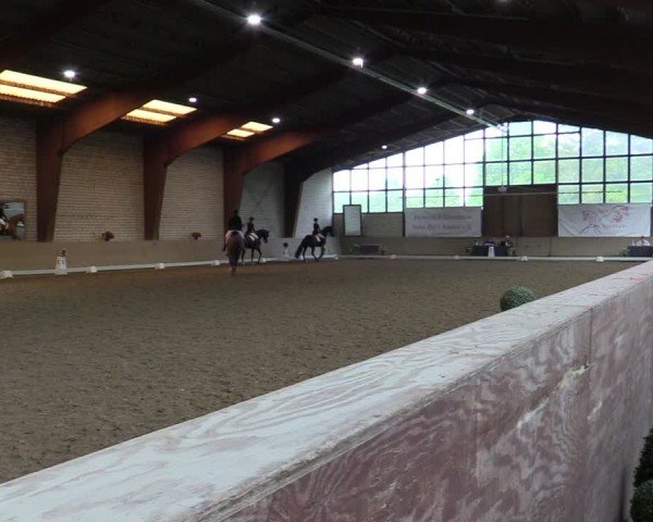 Reitturnier Kamen 2024