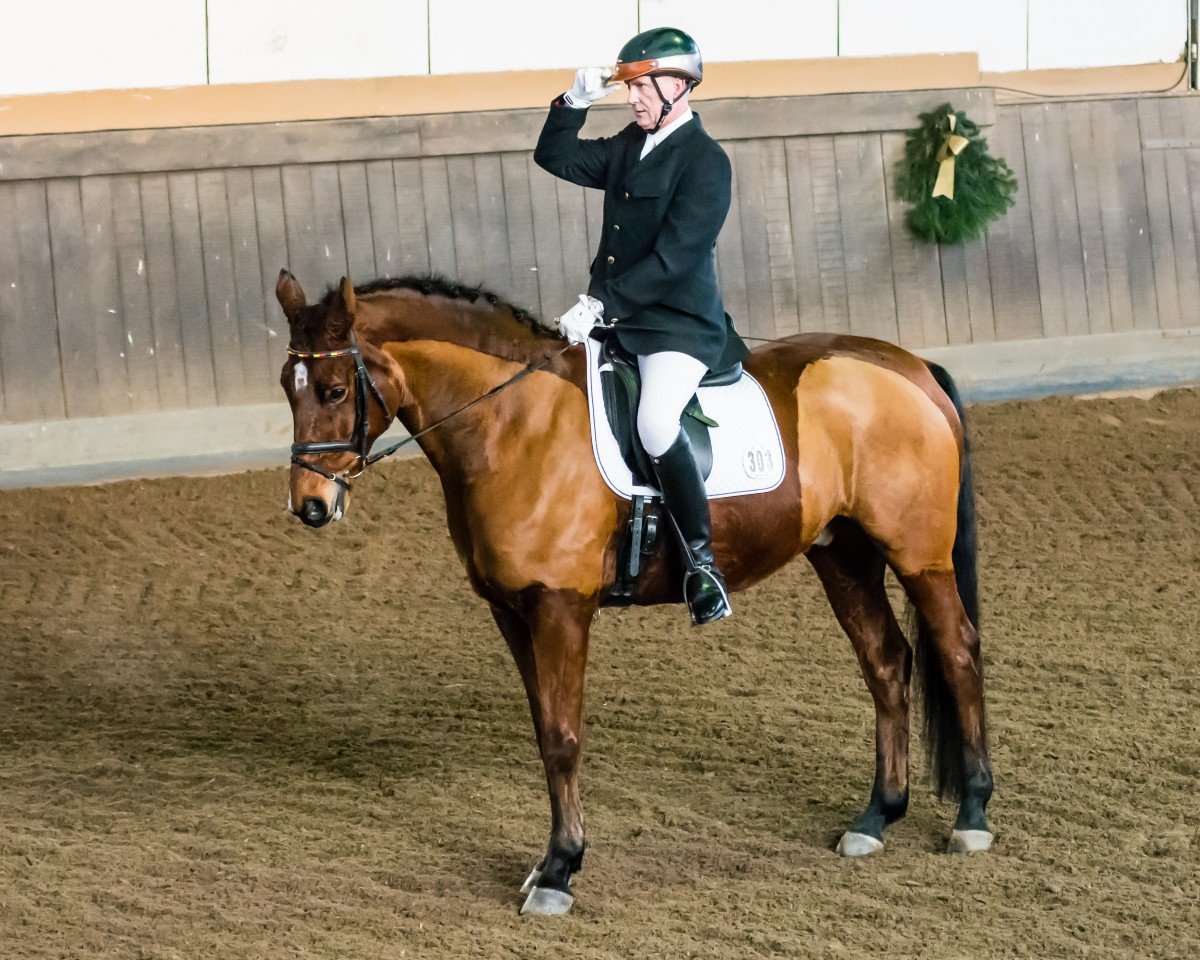 Dressurpferd Laredo 200 (Hannoveraner, 2004, von Londonderry)