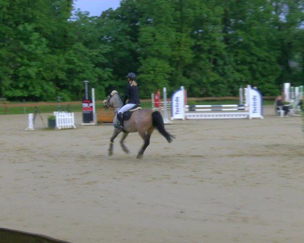 Reitturnier Wesel-Obrighoven 2024
