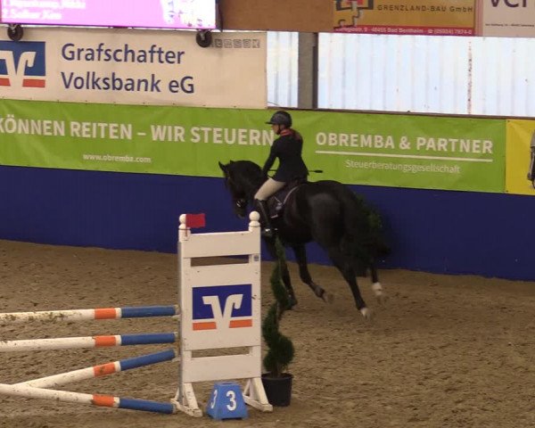 Euregio Springturnier Isterberg 2021