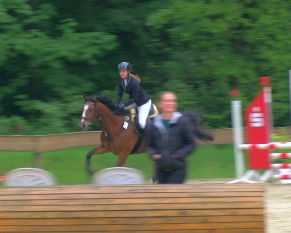 Reitturnier Wesel-Obrighoven 2024