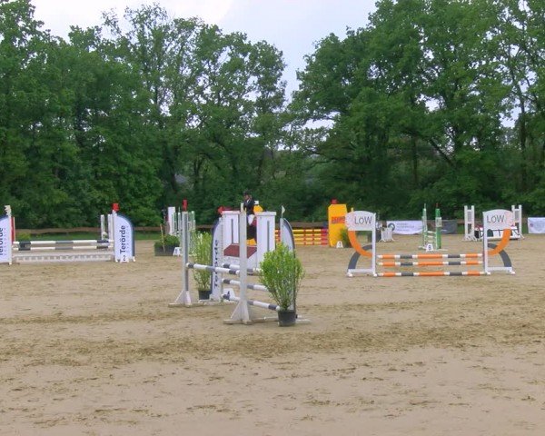 Reitturnier Wesel-Obrighoven 2024