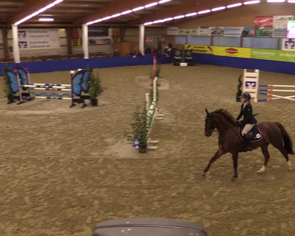 Euregio Springturnier Isterberg 2021