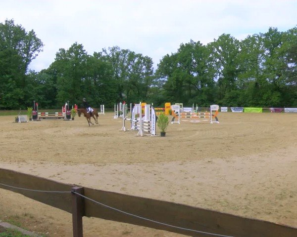 Reitturnier Wesel-Obrighoven 2024