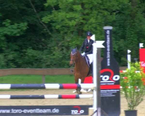Reitturnier Wesel-Obrighoven 2024