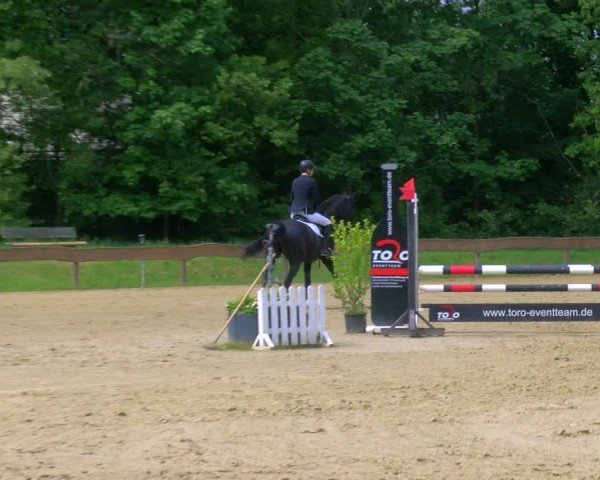 Reitturnier Wesel-Obrighoven 2024