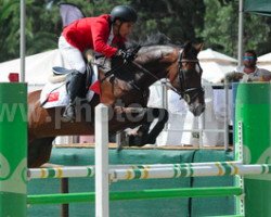 jumper Demi Dostara (KWPN (Royal Dutch Sporthorse), 2008, from Lupicor)