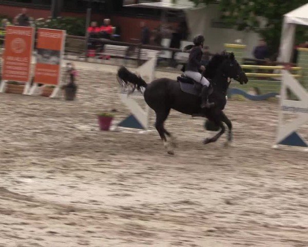 Reitturnier Havixbeck 2024