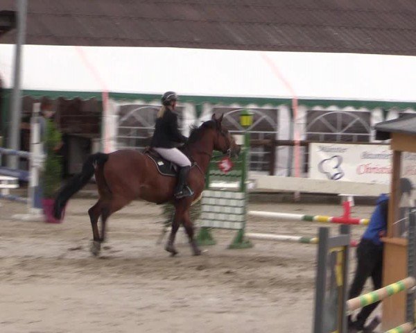 Reitturnier Havixbeck 2024