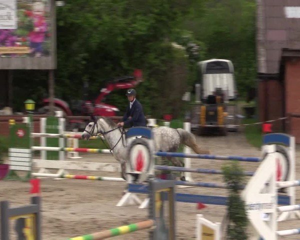 Reitturnier Havixbeck 2024