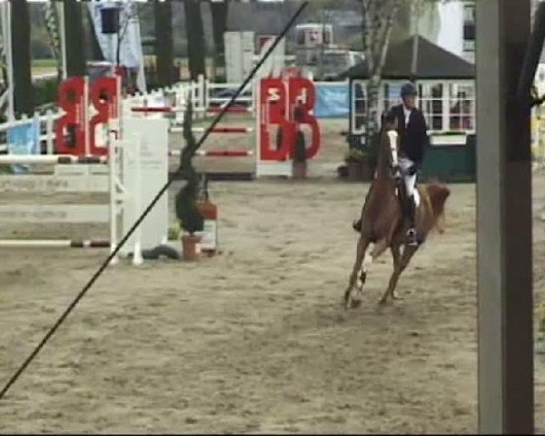 Werne-Lenklarer Reitertage vom 13.-15.+17.-22.04.2012 auf der Reitsportanlage Gripshöver