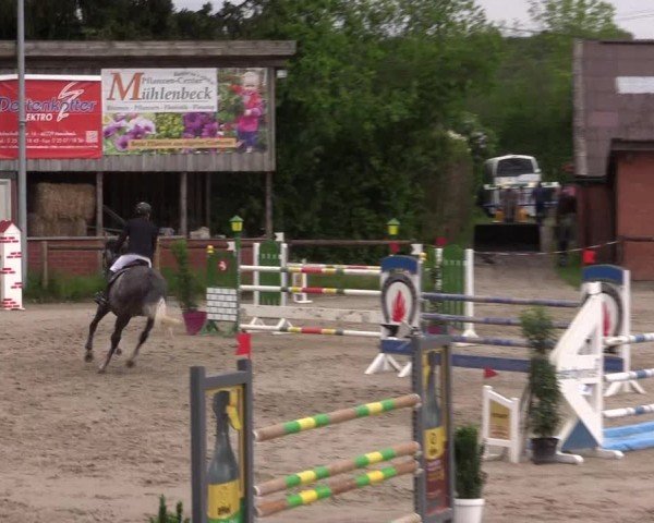 Reitturnier Havixbeck 2024