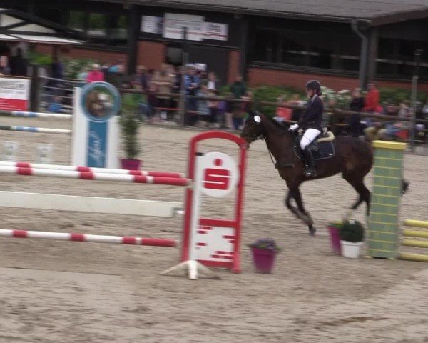 Reitturnier Havixbeck 2024