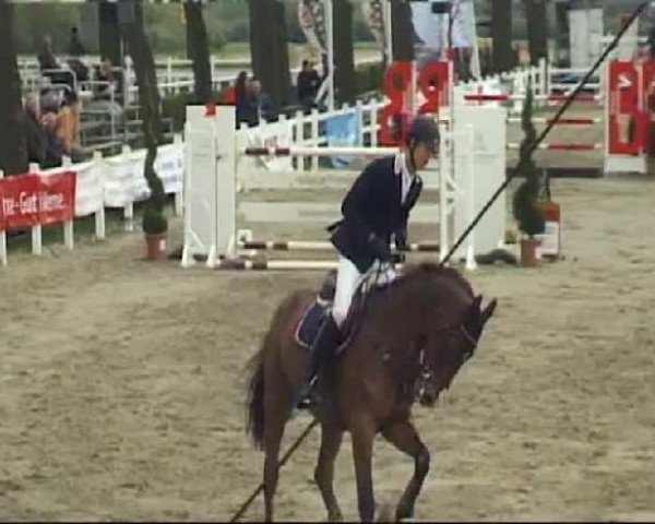 Werne-Lenklarer Reitertage vom 13.-15.+17.-22.04.2012 auf der Reitsportanlage Gripshöver