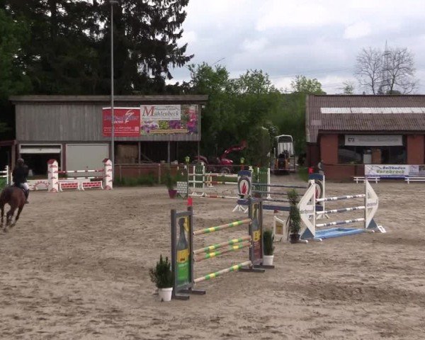Reitturnier Havixbeck 2024