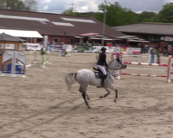 Reitturnier Havixbeck 2024