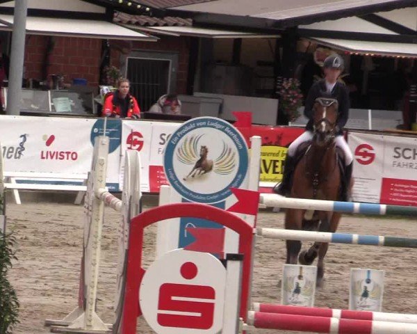 Reitturnier Havixbeck 2024