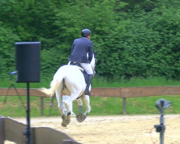 Reitturnier Wesel-Obrighoven 2024